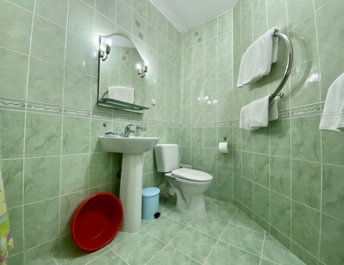 Стандарт 2-местный 1-комнатный "Горы" корпус 5 - Санаторий «Белоруссия» Ялта Кореиз